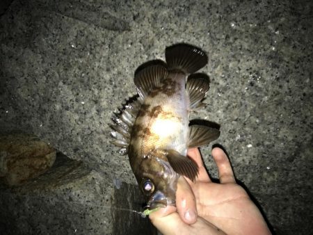 おチビちゃん連発