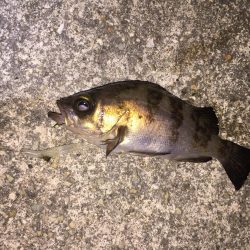 雨にも負けず！