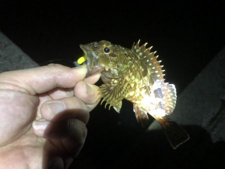 12時過ぎから上潮狙いも釣果あがらず…