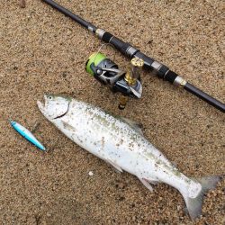 海サクラマスヒット!