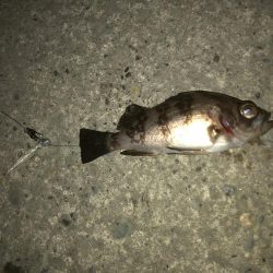 サイズが・・・