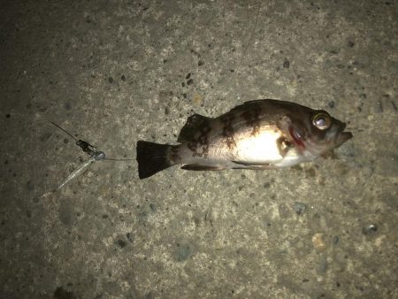 サイズが・・・