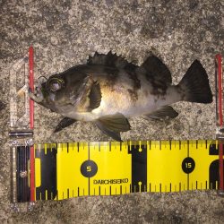 びちょびちょ!でも楽しい‼︎