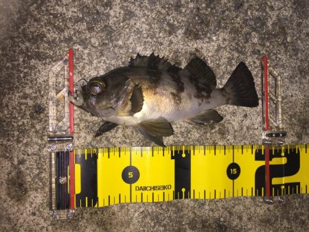 びちょびちょ!でも楽しい‼︎