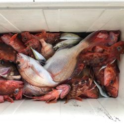 平成最期の釣行(船)