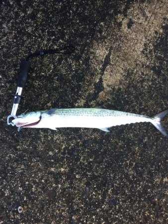 まさかの展開！