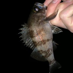 友人へのレクチャーで。