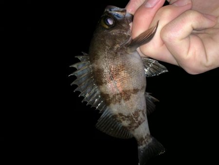 友人へのレクチャーで。