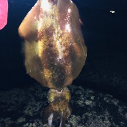 次はキロアップ