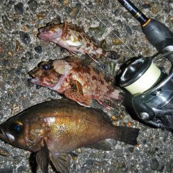 雨降ってきて終了