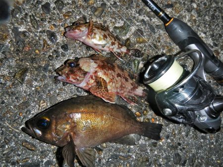 雨降ってきて終了