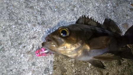 今夜はきびしい～