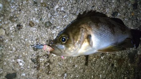 雨の中出撃！！