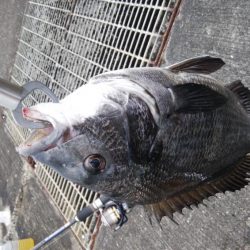 平成最終日の釣行