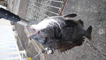 平成最終日の釣行