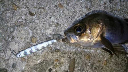 今夜の潮は動かず厳しい