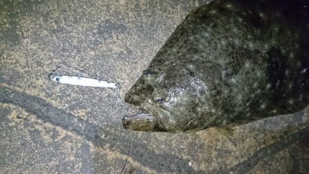 今夜もメバル狙い!!