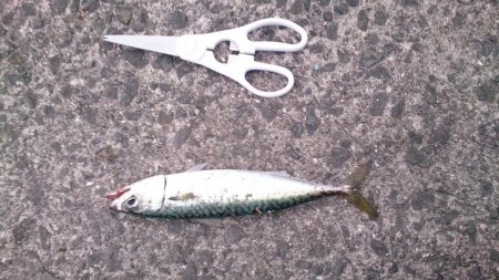 そろそろ終わり?