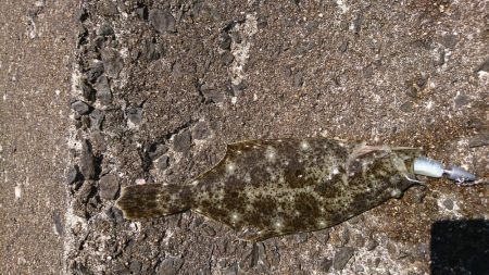 小さいけど…。