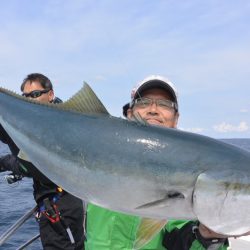 アルバトロスだ鰤好調