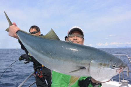 アルバトロスだ鰤好調