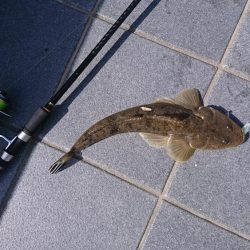 昼休みにちょこっとだけ