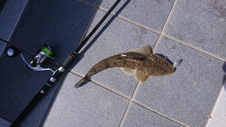 昼休みにちょこっとだけ