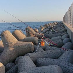 平成最後の淡路島釣行