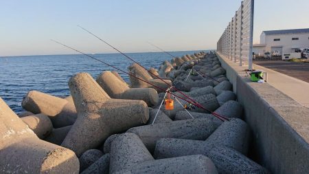 平成最後の淡路島釣行