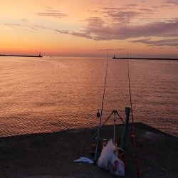 平成最後の淡路島の釣り