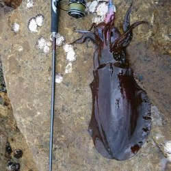 仕事終わってのプチエギング