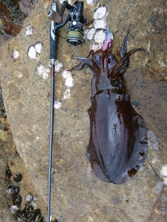 仕事終わってのプチエギング