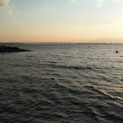 二色浜海浜緑地 メバリング