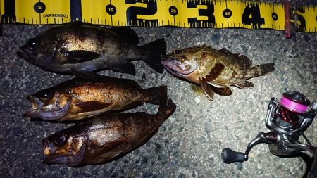 仕事終わりメバリング