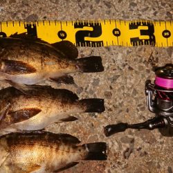 ちょこっとメバリング