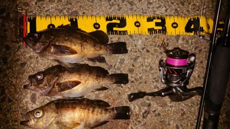 ちょこっとメバリング