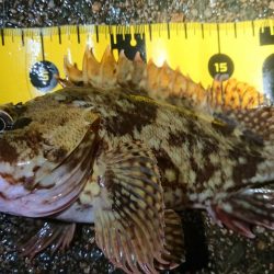 短時間メバリング