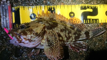 短時間メバリング