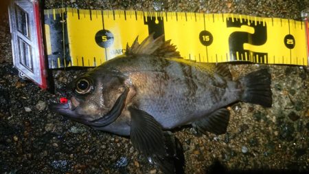 平成最後のメバリング