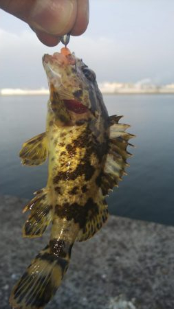 仕事帰りの癒し