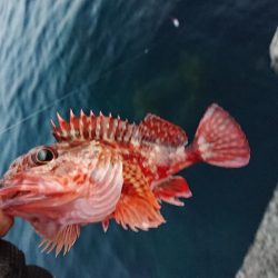 渋い中そこそこ