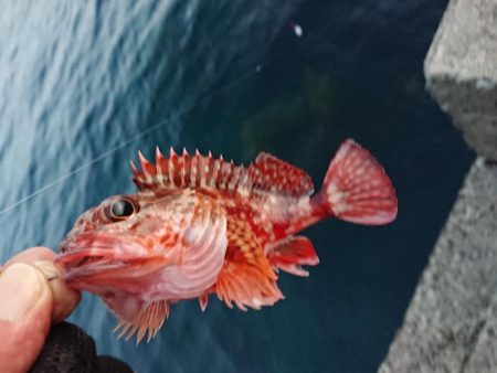 渋い中そこそこ