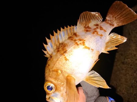 爆風の中さすがに厳しい