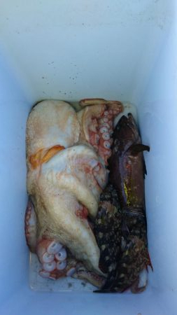 クエ釣りのはずか