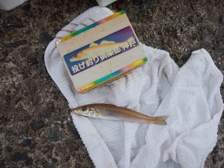 播磨新島キス情報