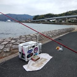 西宮津公園のキス情報