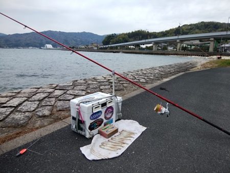 西宮津公園のキス情報