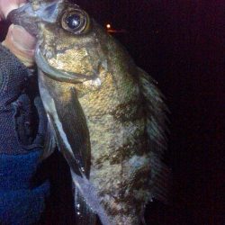 満潮からの引き潮で