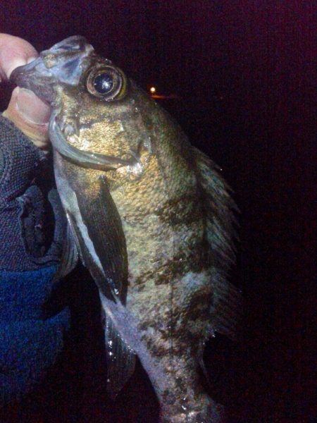 満潮からの引き潮で