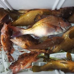 ネチネチネギング